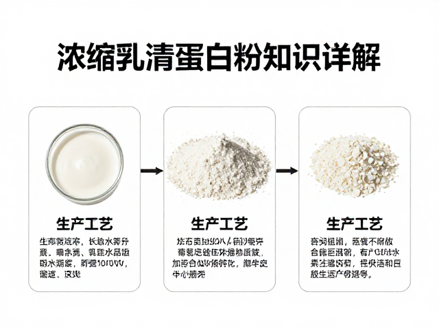 浓缩乳清蛋白粉知识详解，高蛋白质含量解析与选购指南
