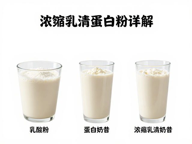 浓缩乳清蛋白粉详解，氨基酸谱与蛋白奶昔制作全攻略