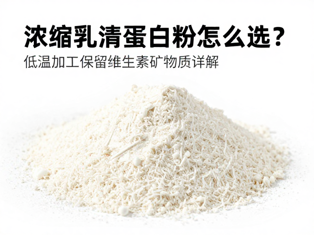 浓缩乳清蛋白粉怎么选？低温加工保留维生素矿物质详解
