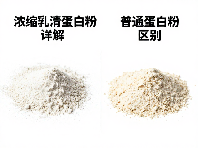 WPC浓缩乳清蛋白粉详解,增肌粉与普通蛋白粉的区别