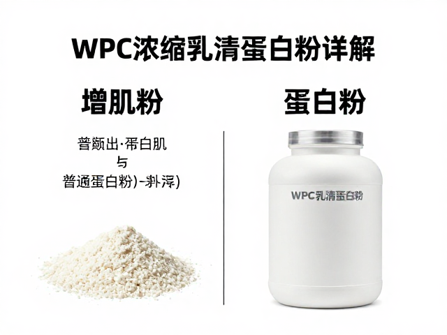 WPC浓缩乳清蛋白粉详解,增肌粉与普通蛋白粉的区别