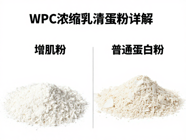 WPC浓缩乳清蛋白粉详解，增肌粉与普通蛋白粉的区别