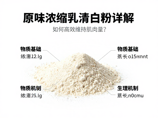 原味浓缩乳清蛋白粉详解，如何高效维持肌肉量？