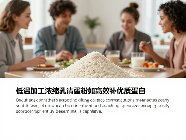 低温加工浓缩乳清蛋白粉详解,素食人群如何高效补充优质蛋白
