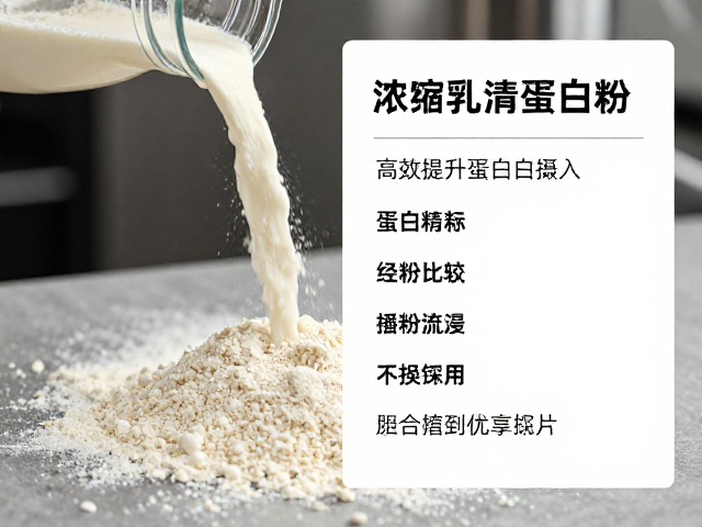 力量训练后喝什么?浓缩乳清蛋白粉详解,高效提升蛋白摄入