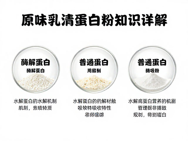 原味浓缩乳清蛋白粉知识详解,酶解蛋白与普通蛋白的区别与选择指南