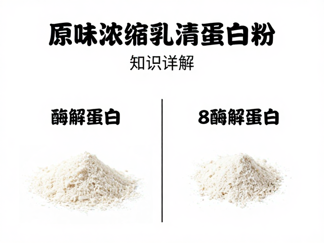 原味浓缩乳清蛋白粉知识详解,酶解蛋白与普通蛋白的区别与选择指南