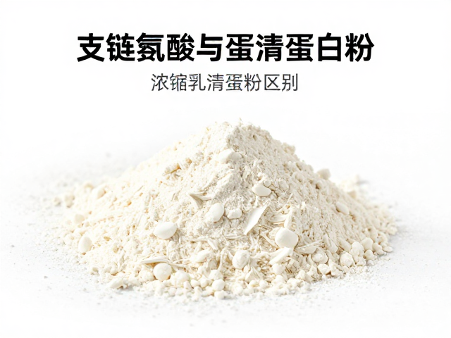 支链氨基酸与蛋清蛋白粉区别,浓缩乳清蛋白粉知识详解