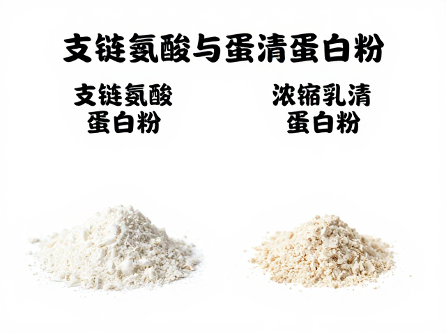 支链氨基酸与蛋清蛋白粉区别，浓缩乳清蛋白粉知识详解
