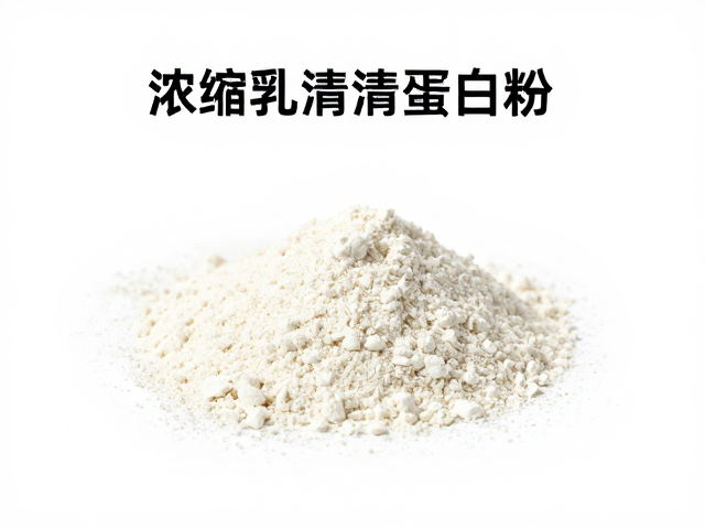 浓缩乳清蛋白粉知识详解，如何高效提升蛋白摄入与训练效果