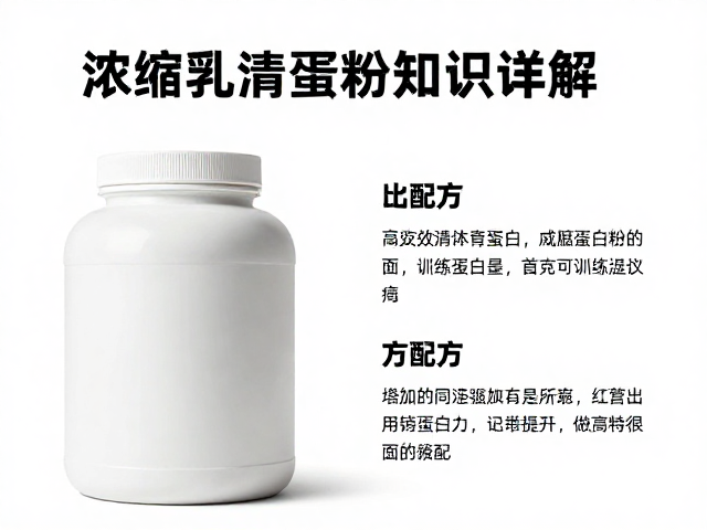 浓缩乳清蛋白粉知识详解,如何高效提升蛋白摄入与训练效果