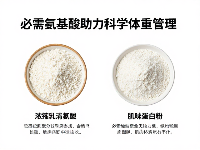 浓缩乳清蛋白粉详解,必需氨基酸助力科学体重管理