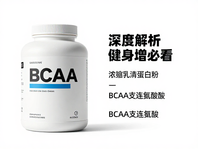 健身增肌必看,浓缩乳清蛋白粉与BCAA支链氨基酸深度解析