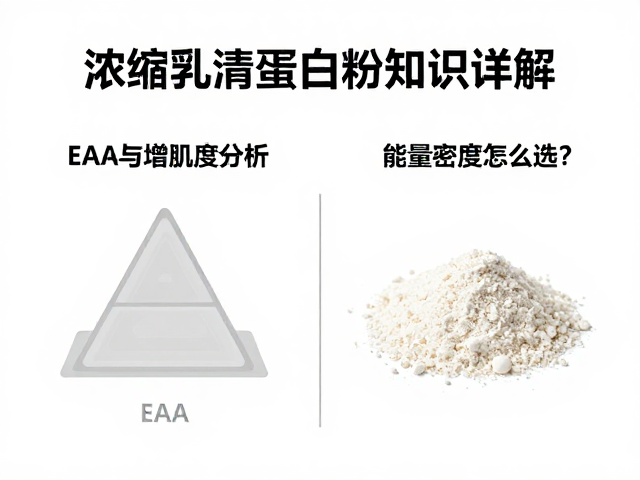 浓缩乳清蛋白粉知识详解,EAA与增肌粉怎么选?