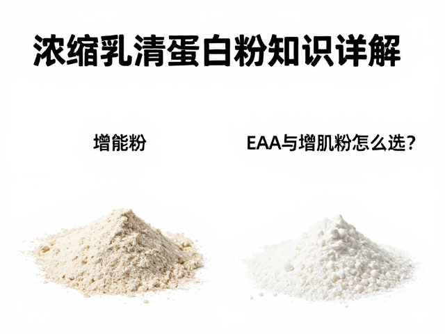 浓缩乳清蛋白粉知识详解,EAA与增肌粉怎么选?