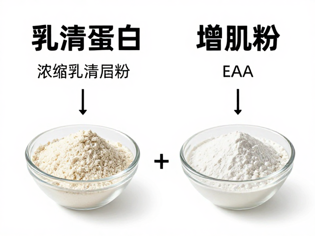 浓缩乳清蛋白粉与EAA、增肌粉区别？新手必看