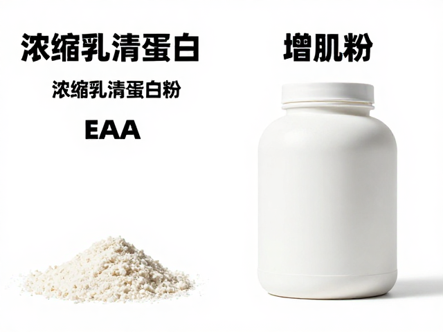 浓缩乳清蛋白粉与EAA、增肌粉区别？新手必看