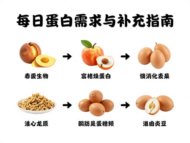 消化弱健身人群每日蛋白需求与补充指南