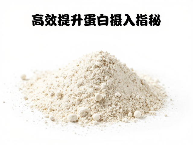 浓缩乳清蛋白粉知识，高蛋白质含量揭秘，高效提升蛋白摄入指南