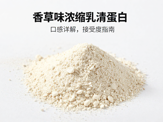 香草味浓缩乳清蛋白粉口感如何？知识详解与接受度指南