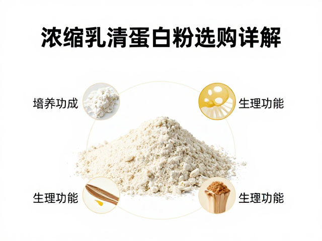 浓缩乳清蛋白粉知识详解，中老年营养蛋白粉选购指南