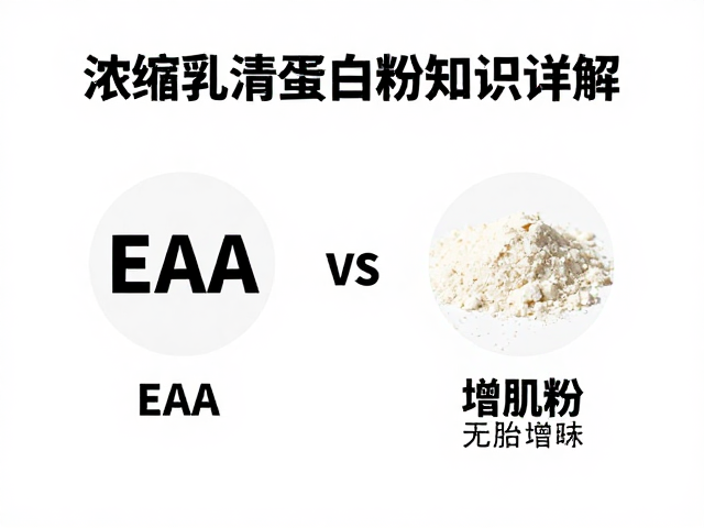 浓缩乳清蛋白粉知识详解，EAA与增肌粉的区别与选购指南