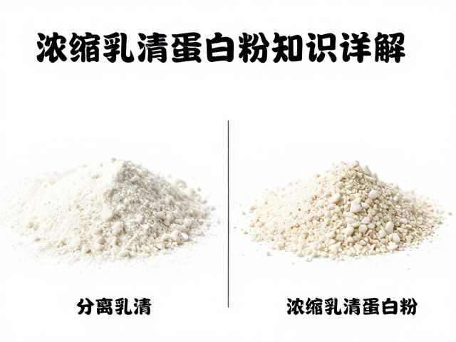 高端分离乳清蛋白粉脂肪含量多少？浓缩乳清蛋白粉知识详解