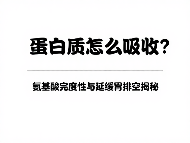 蛋白质怎么吸收?氨基酸完整性与延缓胃排空揭秘
