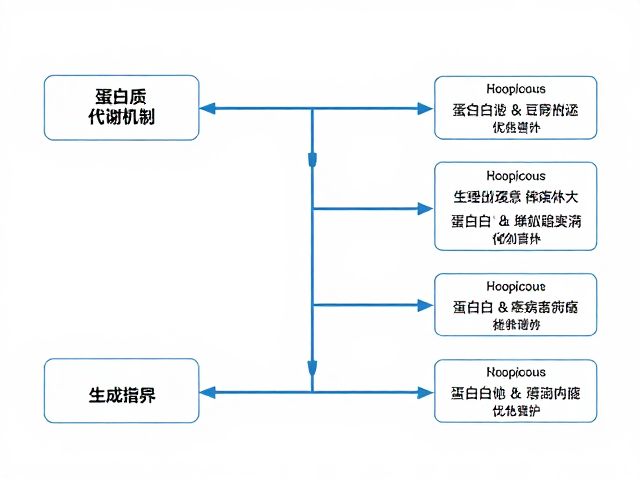 蛋白质代谢机制，健身增肌与疾病患者的关键差异与营养指南