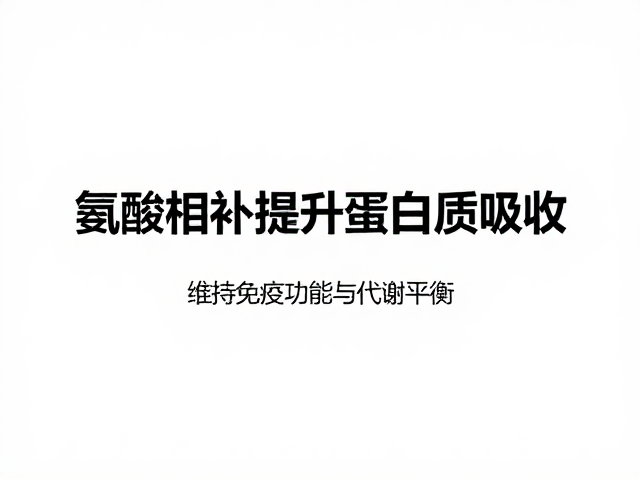 氨基酸互补提升蛋白质吸收,维持免疫功能与代谢平衡