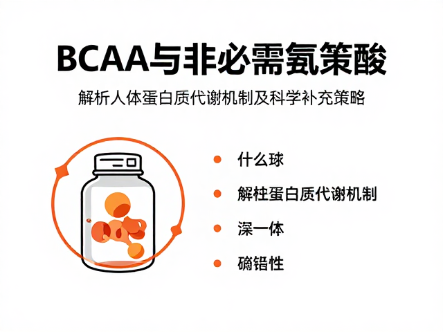 BCAA与非必需氨基酸,解析人体蛋白质代谢机制及科学补充策略