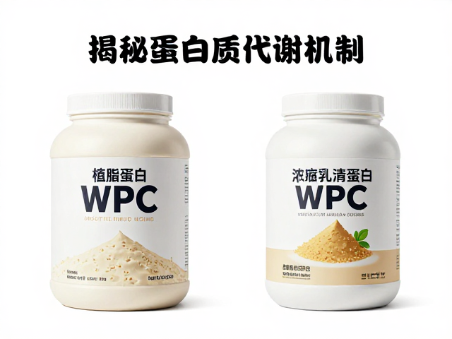 植脂末与浓缩乳清蛋白WPC，揭秘蛋白质代谢机制