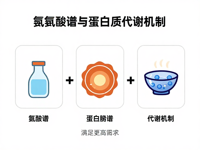健身增肌需知,氨基酸谱与蛋白质代谢机制,满足更高需求
