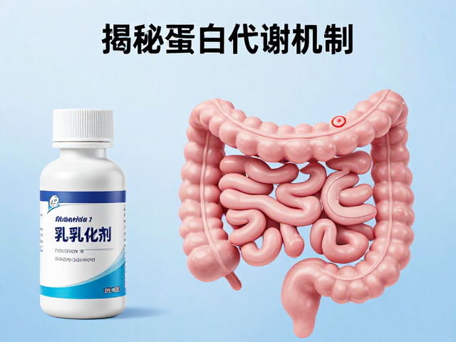 乳化剂如何影响血氨基酸浓度？揭秘蛋白质代谢机制