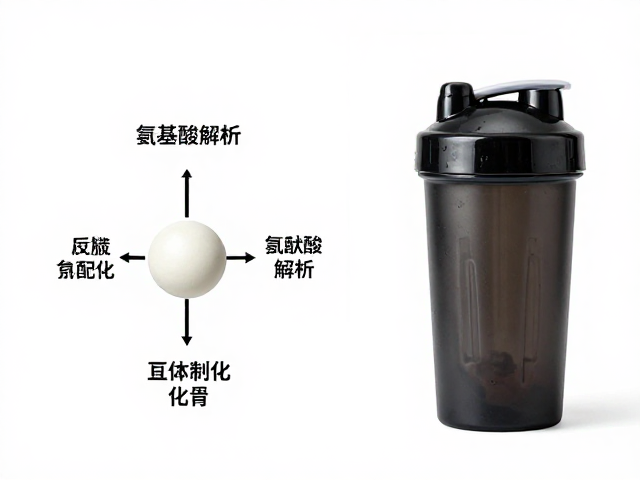 力量健身补剂，氨基酸组成解析与便携摇摇杯冲调指南