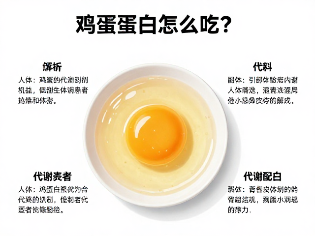 鸡蛋蛋白怎么吃?解析人体蛋白质代谢机制与疾病患者饮食指南