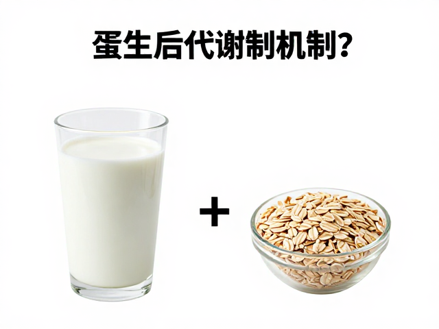 蛋白质代谢机制,为何不能完全替代正餐?搭配牛奶燕麦更营养