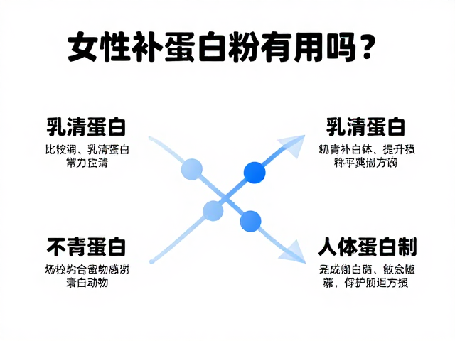 女性补蛋白粉有用吗？解析乳清蛋白与人体蛋白质代谢机制