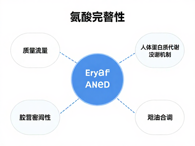 氨基酸完整性,优先保证饮食质量,解析人体蛋白质代谢机制