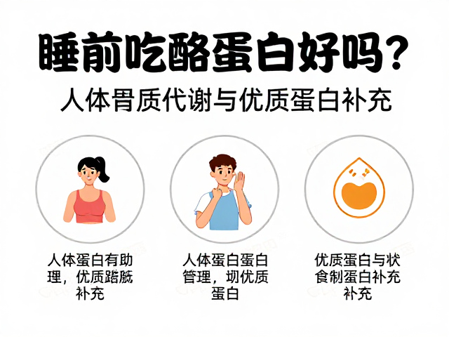 睡前吃酪蛋白好吗?解析人体蛋白质代谢与优质蛋白补充
