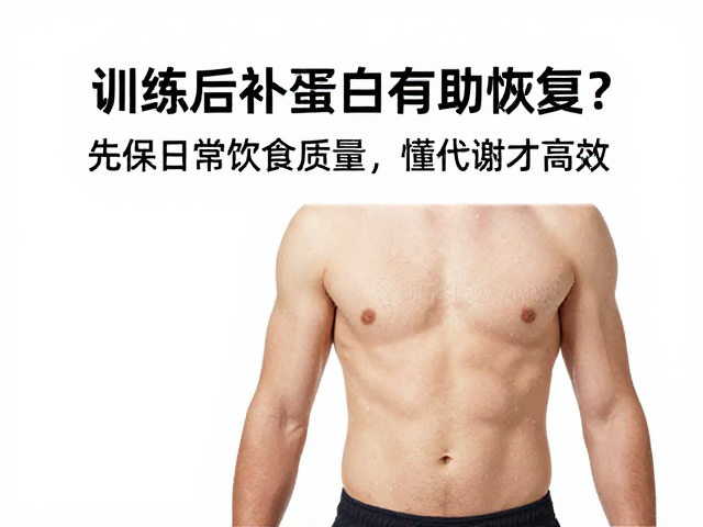 训练后补蛋白有助恢复？先保日常饮食质量，懂代谢才高效