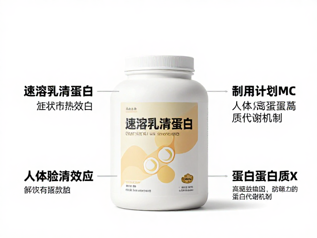 速溶乳清蛋白，利用蛋白质高食物热效应，解析人体蛋白质代谢机制