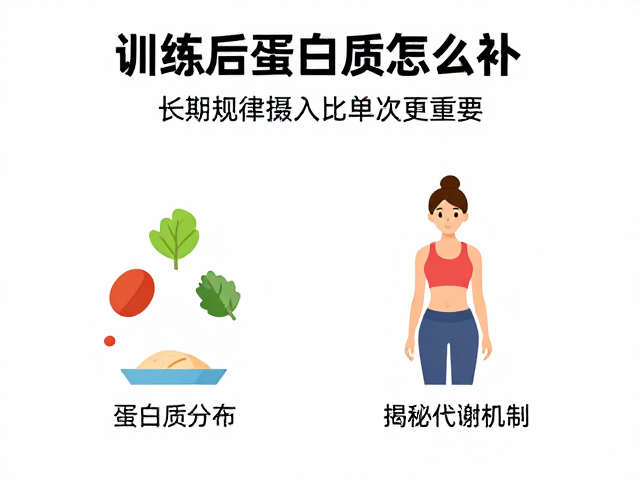 训练后蛋白质怎么补？长期规律摄入比单次更重要，揭秘代谢机制