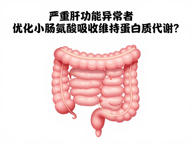 严重肝功能异常者如何通过优化小肠氨基酸吸收维持蛋白质代谢？