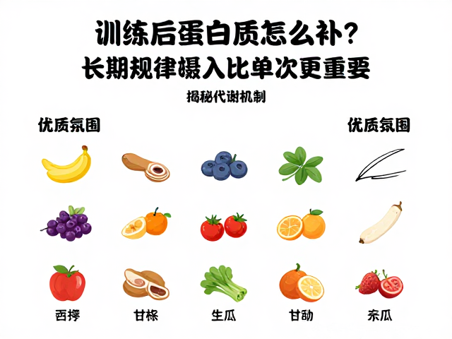 训练后蛋白质怎么补？长期规律摄入比单次更重要，揭秘代谢机制