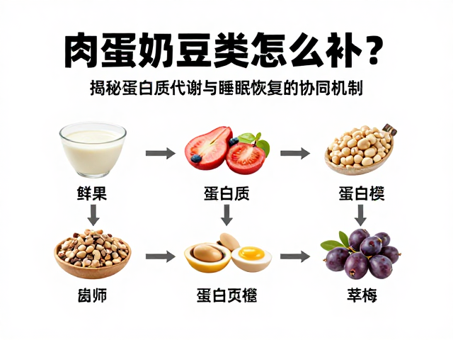 肉蛋奶豆类怎么补？揭秘蛋白质代谢与睡眠恢复的协同机制