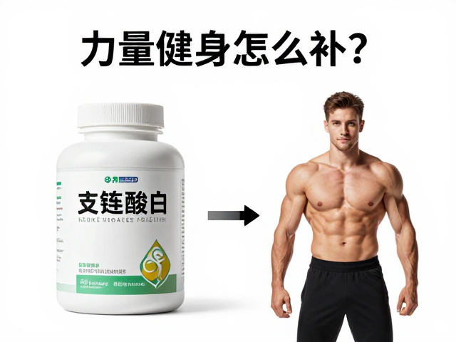 力量健身怎么补?支链氨基酸,低糖高蛋白,精准恢复不长胖