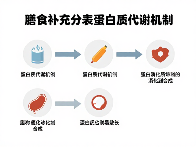蛋白粉是膳食补充剂?看懂营养成分表,揭秘蛋白质代谢机制