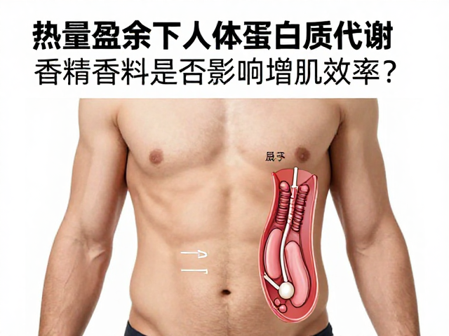 热量盈余下人体蛋白质代谢,香精香料是否影响增肌效率?