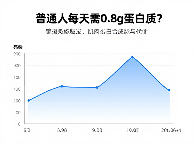 普通人每天需0.8g蛋白质?亮氨酸如何触发肌肉蛋白合成与代谢